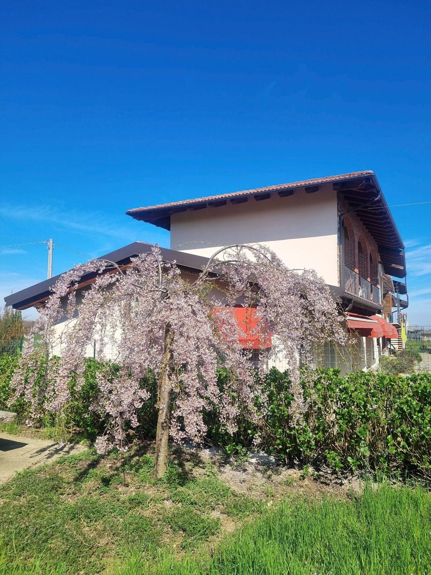 Bed and Breakfast Cascina La Demilana Bibiana Zewnętrze zdjęcie